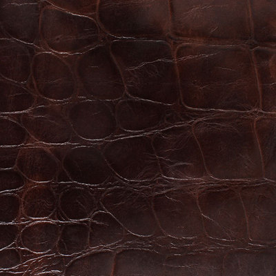 拉美鱷魚皮革制品 應(yīng)用與廣州高科進(jìn)出口貿(mào)易概覽