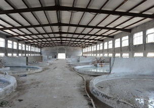 學洋明膠蛋白廠浸泡車間 皮革制品處理的工業現場剖析